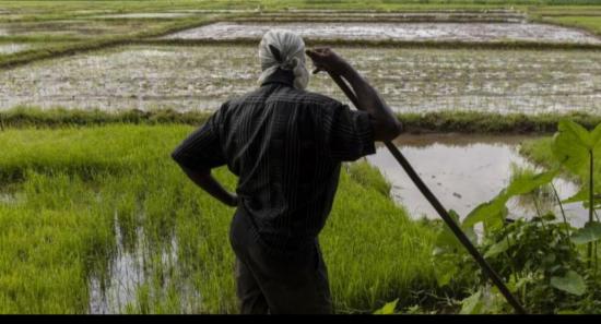 Allowance for low-income agriculture-base families